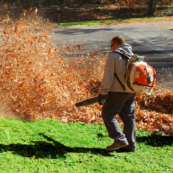 Leaf Removal in Simsbury example 4