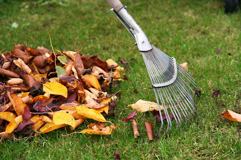 Leaf Removal in Simsbury example 5