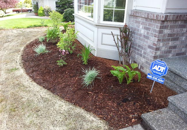 Mulch Installation in Simsbury example 3
