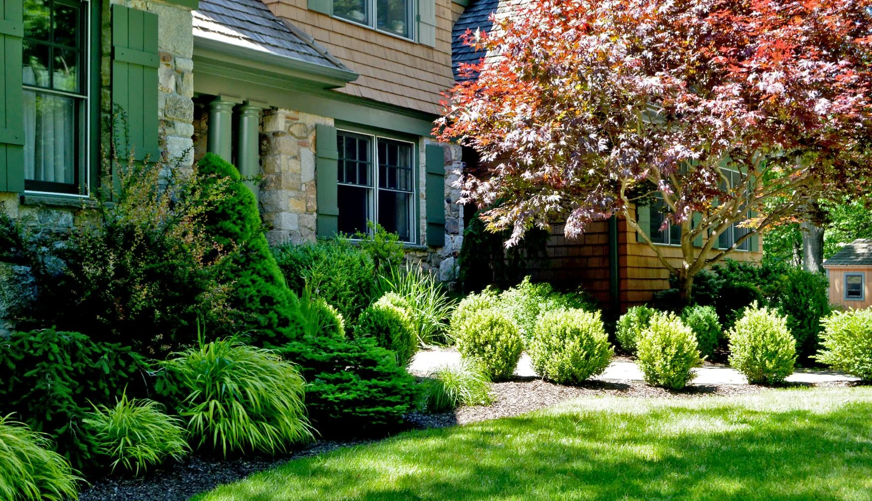 Tree & Shrub Planting in Simsbury example 1