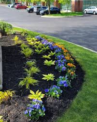 Tree & Shrub Planting in Simsbury example 7
