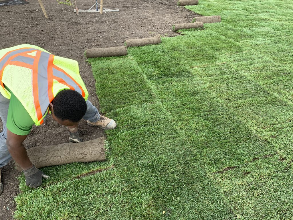 Sod Installation in Simsbury example 2