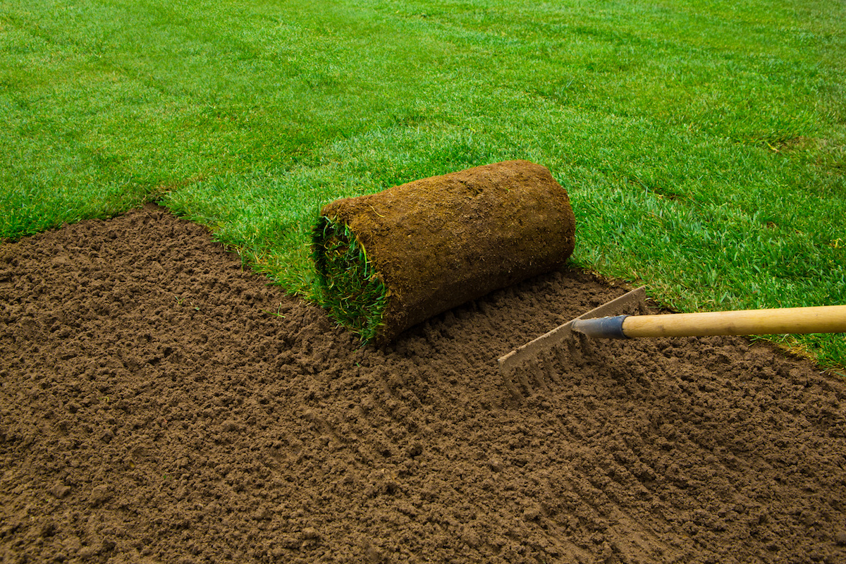 Sod Installation in Simsbury example 3