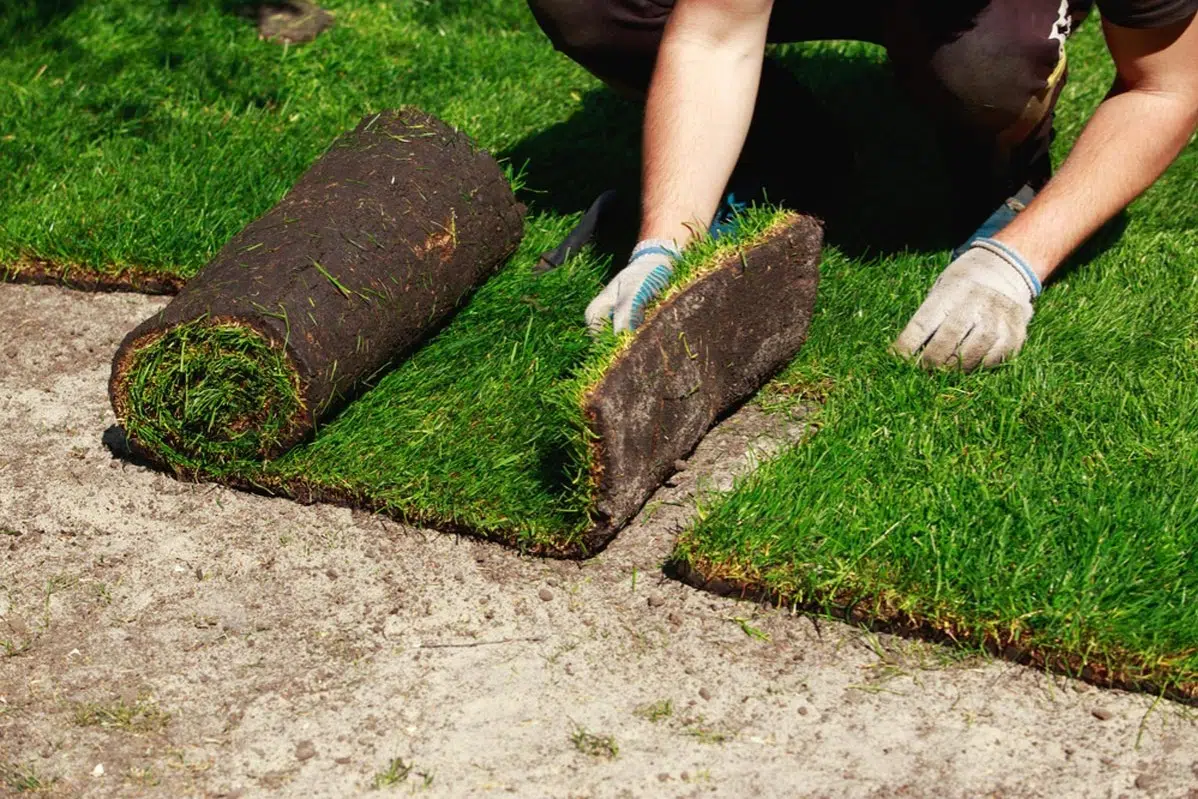 Sod Installation in Simsbury example 5