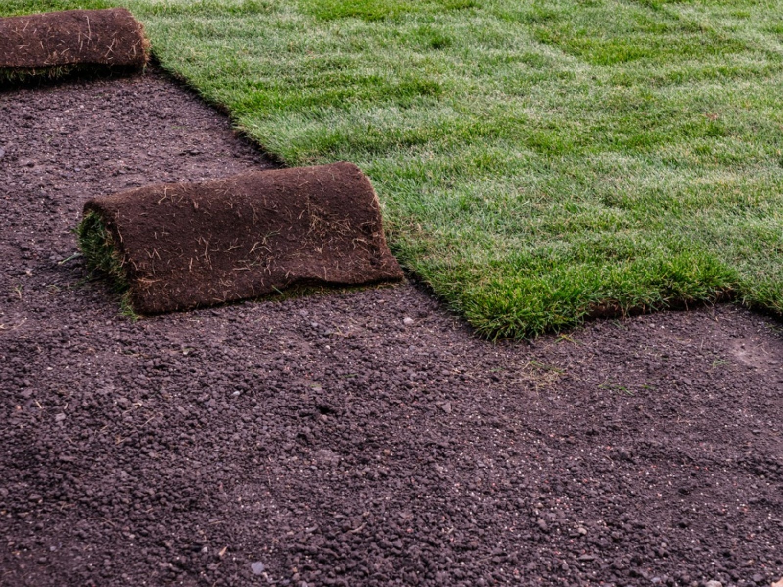 Sod Installation in Simsbury example 6